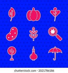 Set Leaf or leaves, Onion, Umbrella, Magnifying glass with leaf, Tree, Potato,  and  icon. Vector