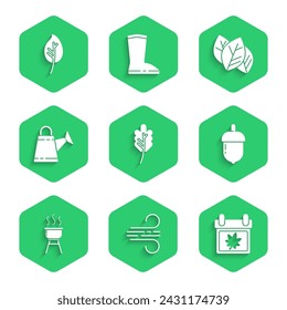 Set Leaf or leaves, Wind, Calendar with autumn, Acorn, Barbecue grill, Watering can,  and  icon. Vector