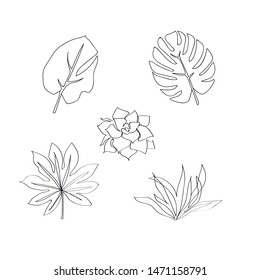 Set of leaf line art. Contour drawing. Minimalism art. Exotic sketch. Fashion 