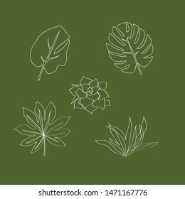 Set of leaf line art. Contour drawing. Minimalism art. Exotic sketch. Fashion 