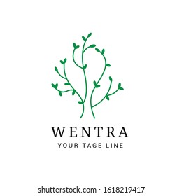 Set leaf logo. Can be used for cosmetics, spas, beauty salons, decorations, boutique logos. Interior Icons. 