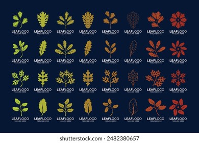 Conjunto de diseño de logotipo de hoja con color natural