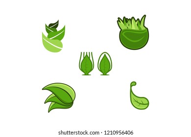 set leaf logo Designs Inspiration Isolated on White Background