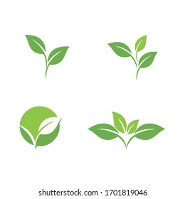 Set Leaf  Logo Template vector symbol nature