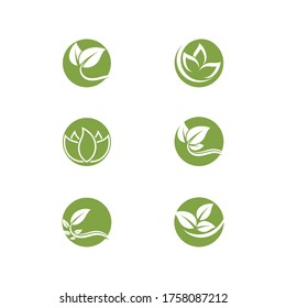 Set Leaf Logo Template vector symbol nature