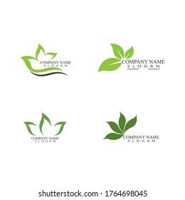 Set Leaf Logo Template vector symbol nature