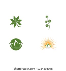 Set Leaf Logo Template vector symbol nature