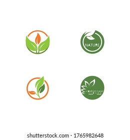 Set Leaf Logo Template vector symbol nature
