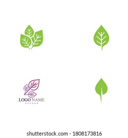 Set Leaf Logo Template vector symbol nature