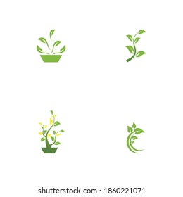 Set Leaf Logo Template vector symbol nature