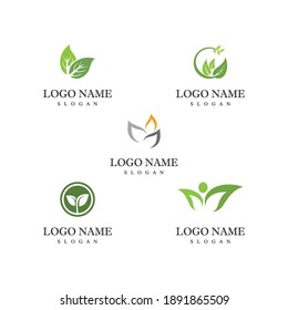 Set Leaf Logo Template vector symbol nature
