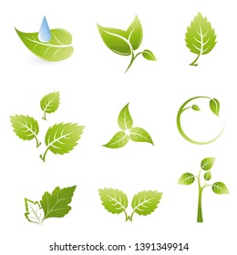 set leaf logo vector icon beatiful
