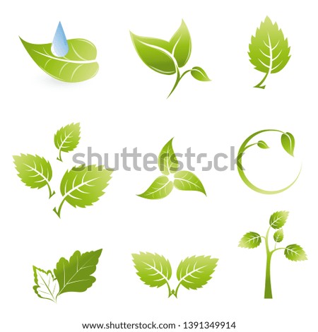 set leaf logo vector icon beatiful