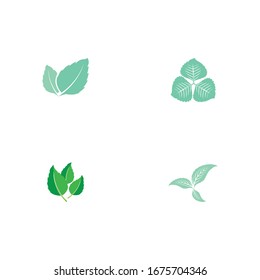 Set Leaf Mint Logo Template vector symbol nature
