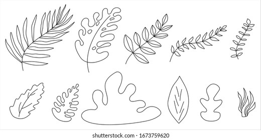 Set of leaf on a white background. Hand drawn decorative elements.  Doodle. Vector illustration