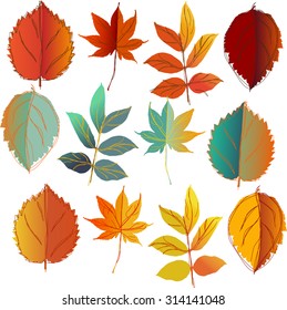 set of leaf orange ,yellow and mint leafs 