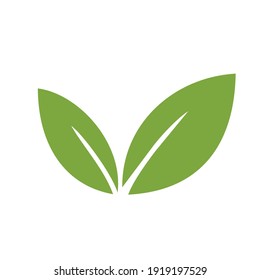 set of leaf ornament vector graphic. good for nature symbol