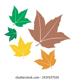 conjunto de gráfico vectorial de ornamento de hoja. símbolo bueno para la naturaleza