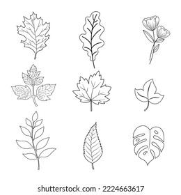 A set of leaf outline vector silhouettes isolated on a white background