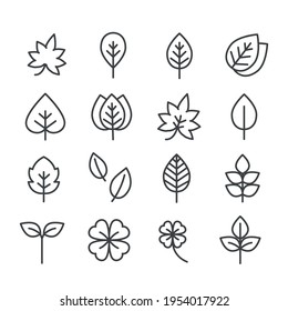 Set of leaf or plant icon. Natural concept for outline on white background