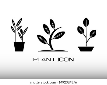Set of leaf and Plant Icon Vector Image. Consist of Three Symbol about Plant and Flower. Isolated on White Grey Background. Suitable for Agriculture and Nature Sign. 