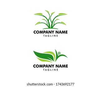 Set of Leaf plant logo template, nature illustration for logo design