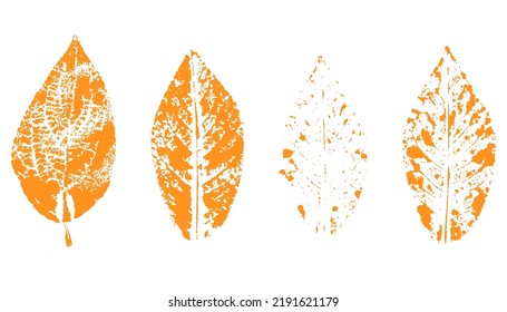 Set of leaf prints. Autumn herbarium, stamps leaves of trees. Grunge texture. Vector illustration