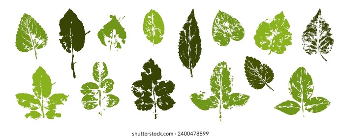 Set of leaf prints.Decorative botanical elements.Vector graphics.