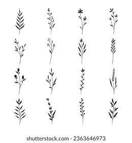 Set of leaf silhouette hand drawn vector