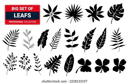 Set of  leaf silhouettes. 3D Illustration