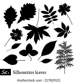 Set of Leaf Silhouettes. Isolated on white. Vector collection.