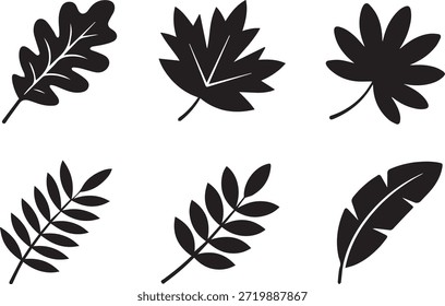 Conjunto de siluetas de hojas, aisladas sobre un fondo blanco, ideal para proyectos de naturaleza, botánicos, ecológicos y de diseño.