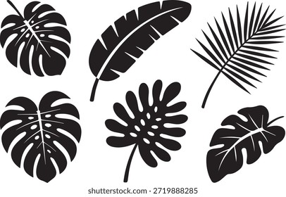 Conjunto de siluetas de hojas, aisladas sobre un fondo blanco, ideal para proyectos de naturaleza, botánicos, ecológicos y de diseño.