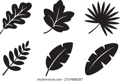 Conjunto de siluetas de hojas, aisladas sobre un fondo blanco, ideal para proyectos de naturaleza, botánicos, ecológicos y de diseño.