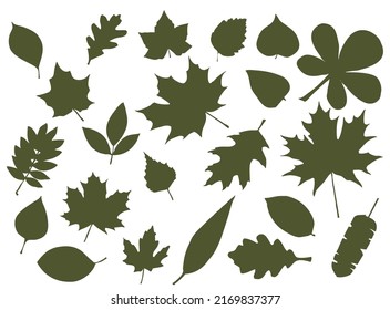 Conjunto de siluetas de hojas. Hojas de árboles caducifoliares