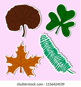 set leaf of simple color illustrations