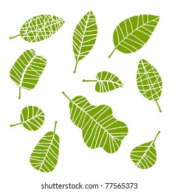 Set Of Leaf Sketch For You Design