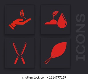 Set Leaf, Sprout in hand of environmental protection, Watering sprout and Gardening handmade scissors for trimming icon. Vector