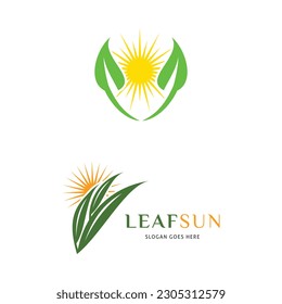 Set of Leaf Sun Icon Vector Logo Template Illustration Design