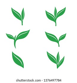 Set Of Leaf Tea vector icons