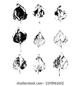 Set of leaf types, vector isolated illustration.