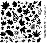 set of leaf vector