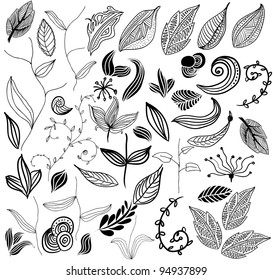 set of leaf vector