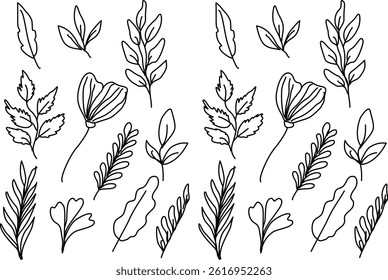 Set Of Leaf Vector Background 