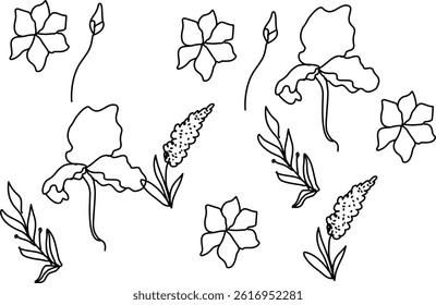 Set Of Leaf Vector Background 