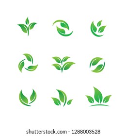 Conjunto de vectores de hoja, vectores de hoja verde, icono de naturaleza, conjunto de iconos de hoja