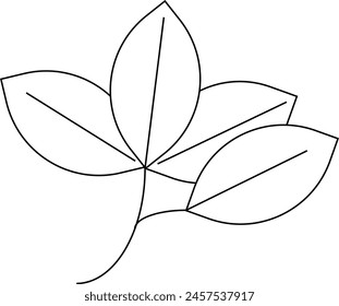 Set of leaf vector icon eps 10 
