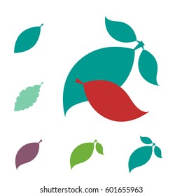 Set of Leaf Vector Icons or Elements for Eco and Bio Logos. Various Shapes of Leaves Isolated