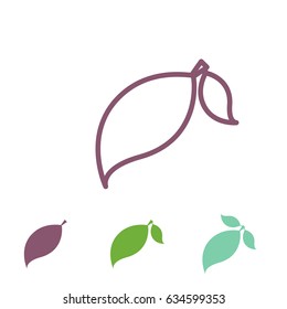 Set of Leaf Vector Icons or Elements for Eco and Bio Logos. Various Shapes of Leaves Isolated