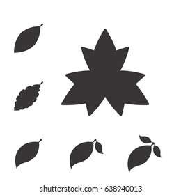 Set of Leaf Vector Icons or Elements for Eco and Bio Logos. Various Shapes of Leaves Isolated